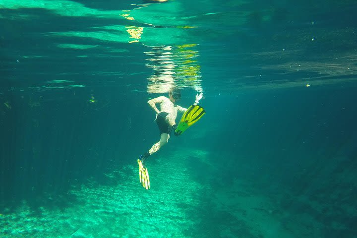 Dos Ojos & Reef Snorkel Tour from Tulum - Small Group - All Inclusive image