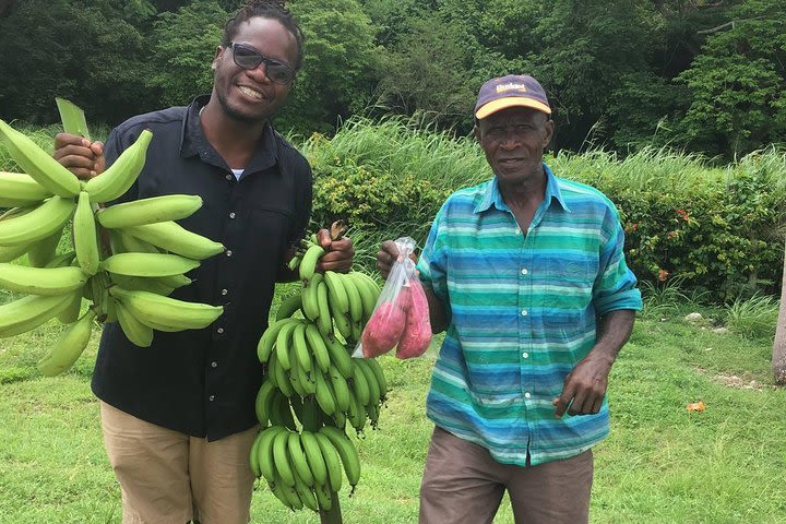 Half-Day Jamaica Foodie and Cultural in Ocho Rios image