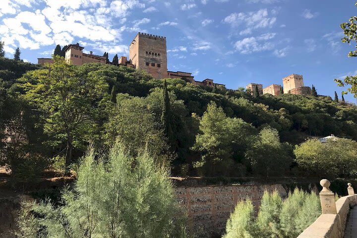 Full Day in Granada: Private guided tour of the Alhambra +Dobla de Oro monuments image