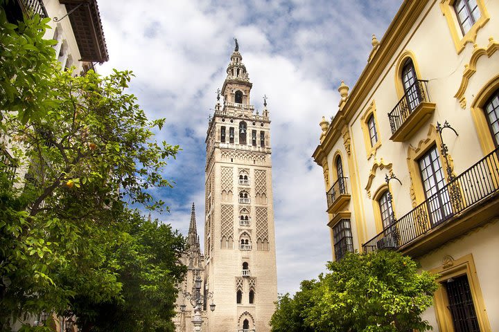 Cathedral of Seville English Tour with Access to Giralda  image