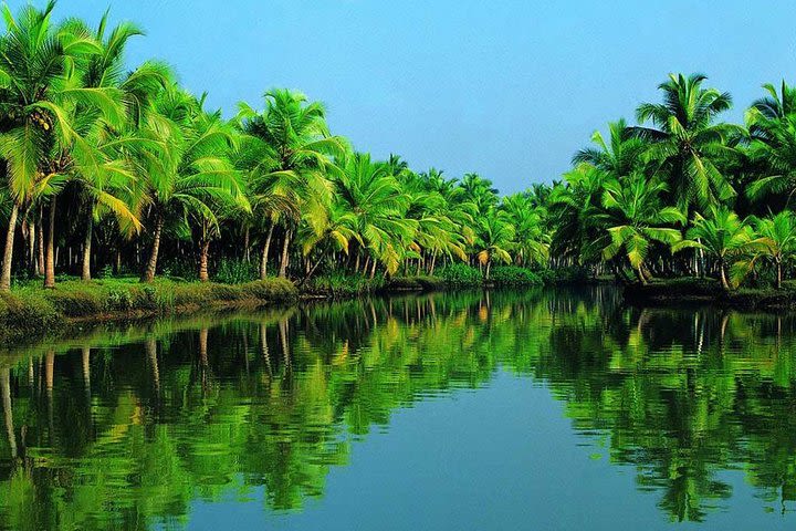 My Son sanctuary tour and Bay Mau coconut forest Hoi An image