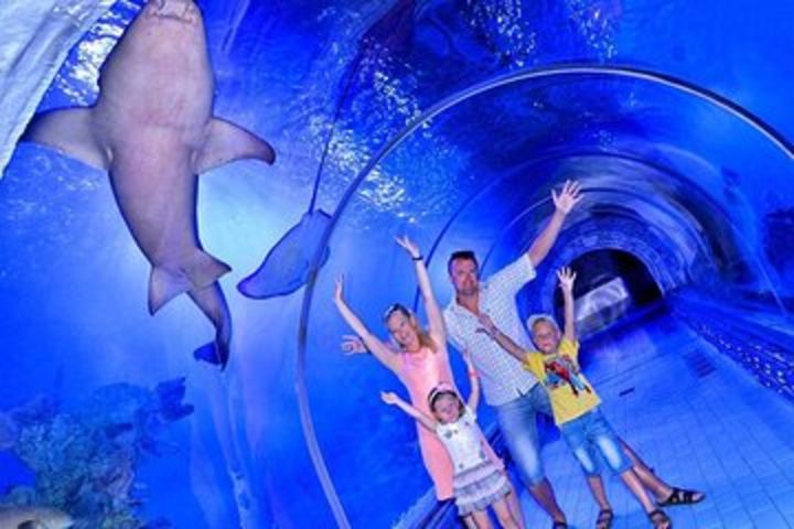 Grand Aquarium Amazing Full Day With transportation - Hurghada image