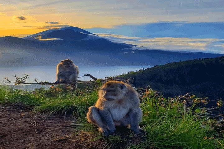 Mt Batur Sunrise Trekking  image