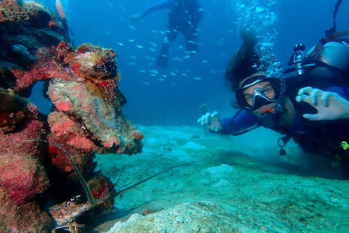 PADI Open Water Diving Course image