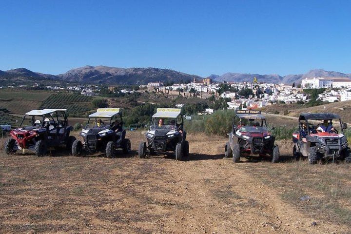 Surrounding Ronda Buggy Trip with Gorge Visit image