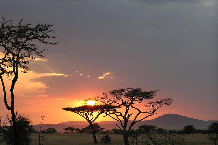 5 Days Tanzania Camping Safari, All Year Around  image