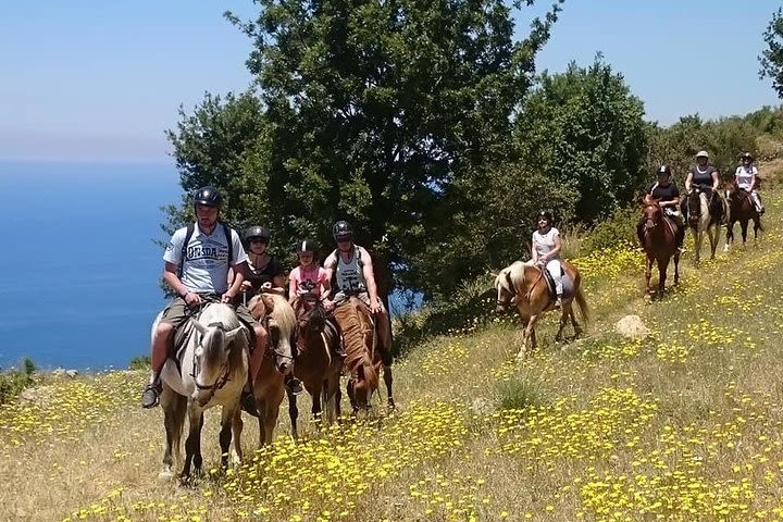 Alanya 3 Hour Horse Back Riding image