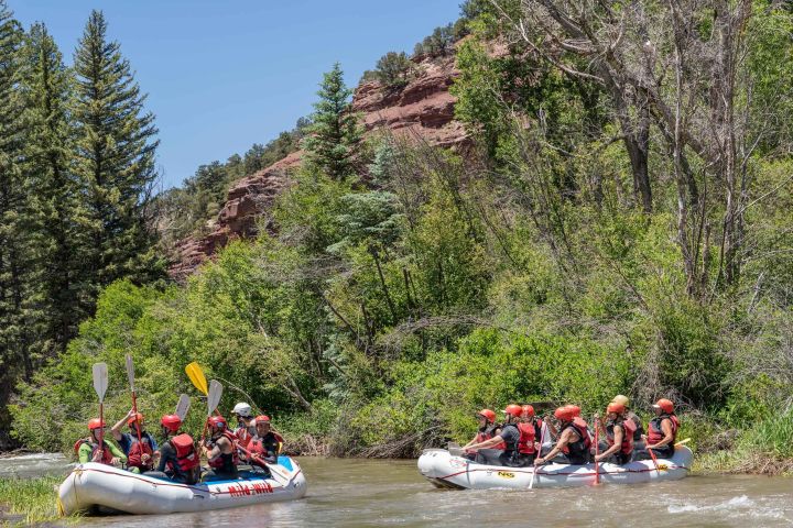 Telluride Afternoon Half Day Rafting Trip - San Miguel River image