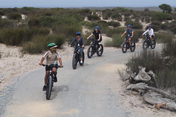 E-Bike Safari Tour image