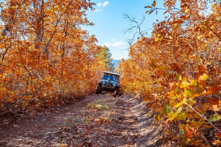 East Zion Brushy Cove Jeep Tour image