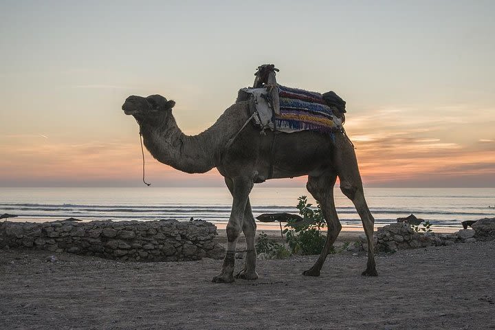 Essaouira Small Peaceful Romantic and Traditional Town image