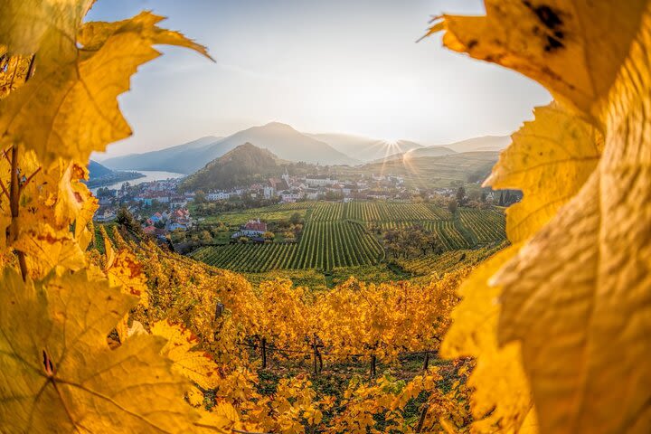 Vienna: Wachau Wonders & Magical Hallstatt Small-Group Day Trip image
