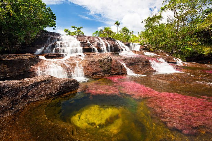 Cano Cristales & Jungle: 4 day trip from Bogota image