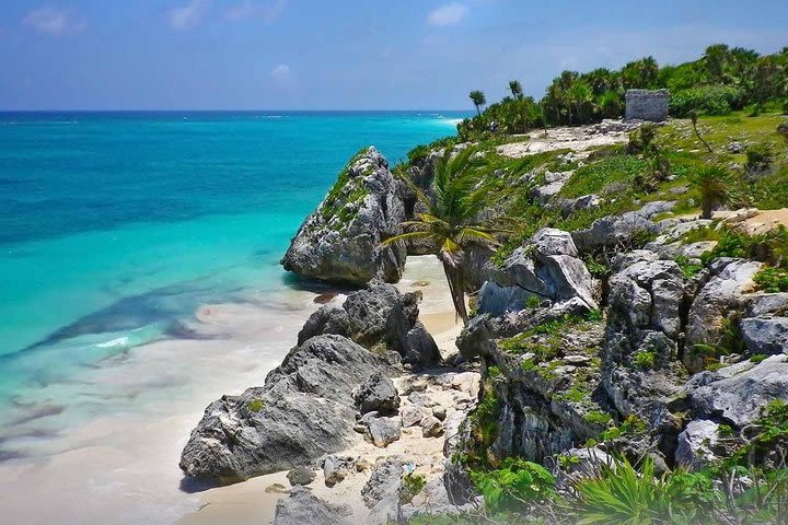 The most complete tour to Tulum, Coba, Cenote and Playa del Carmen in one day  image