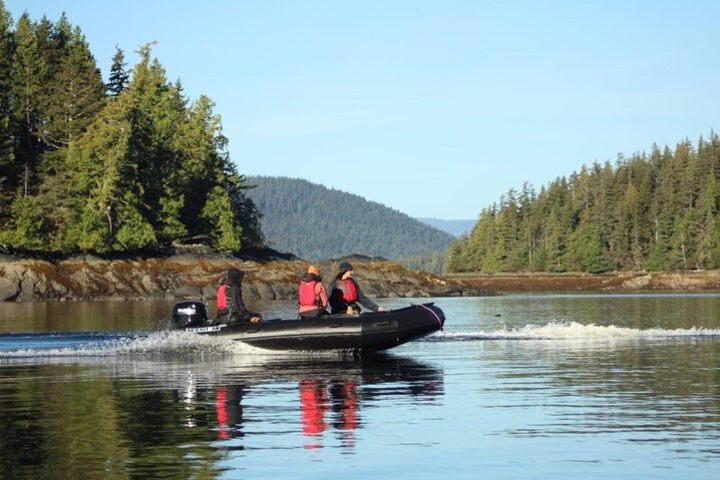 Alaska Marine Fast Boat Adventure  image