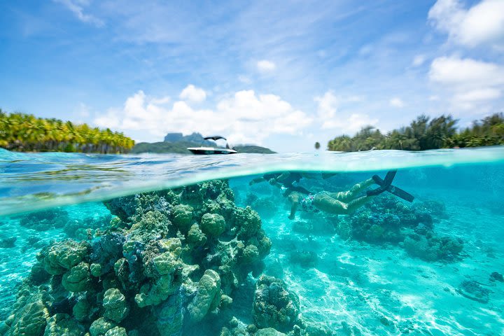 Snorkeling Eco Tour image