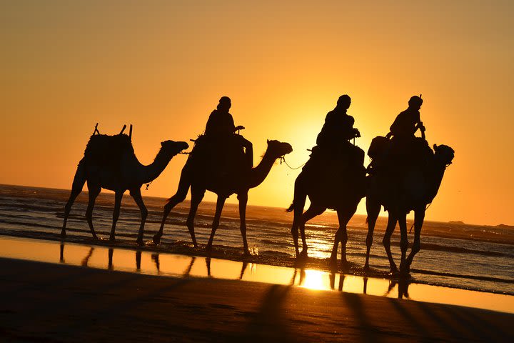 3 hours ride on camel at sunset image