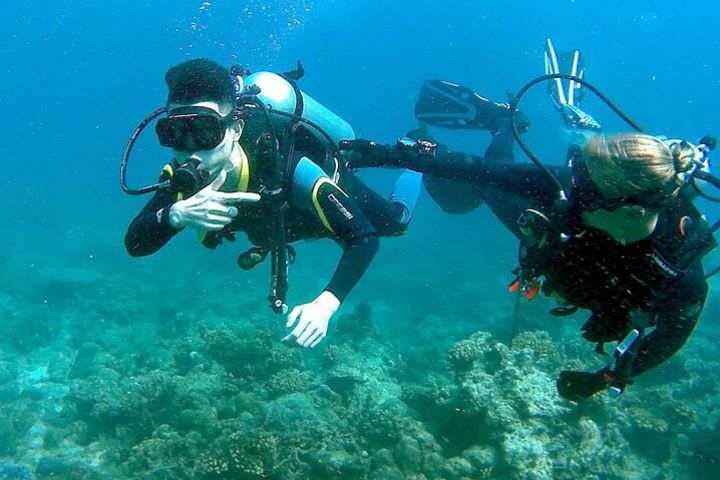 Small-Group Introductory Scuba Diving in Pula image