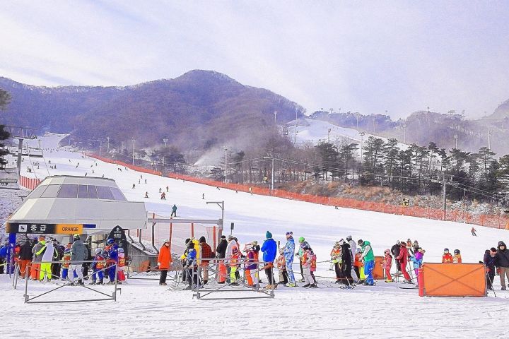 Seoul Ski Adventure at Jisan Forest Resort image
