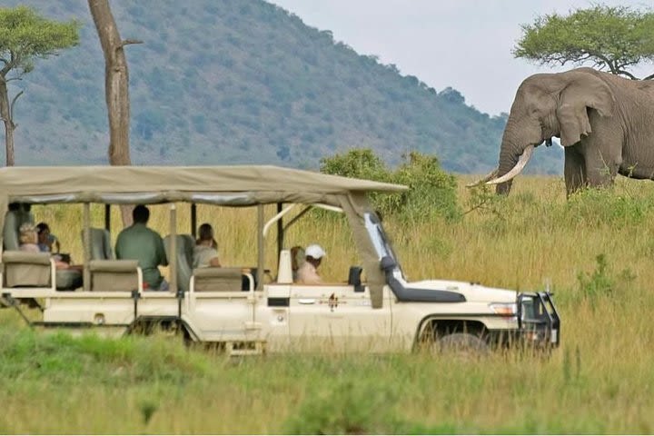 South Africa. Cape Town Tour, Aquila Safari Game Reserve Overnight image