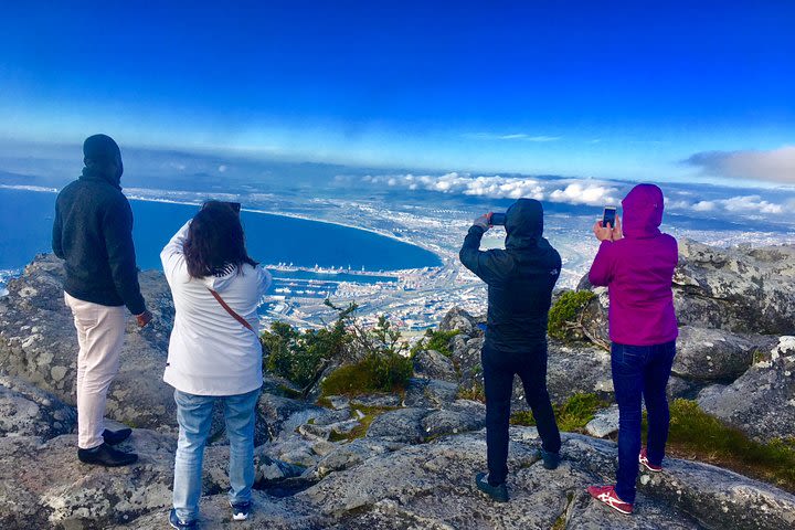 Private Tour: Table Mountain, Penguins Colony & Cape of Good Hope  image