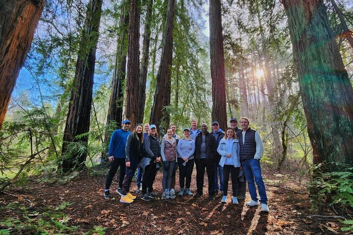 Napa Valley Redwood Hike image