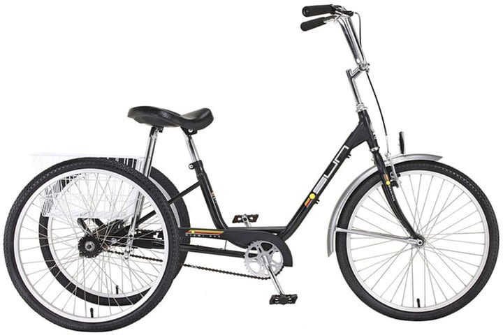 NYC Adult Tricycle Rental image