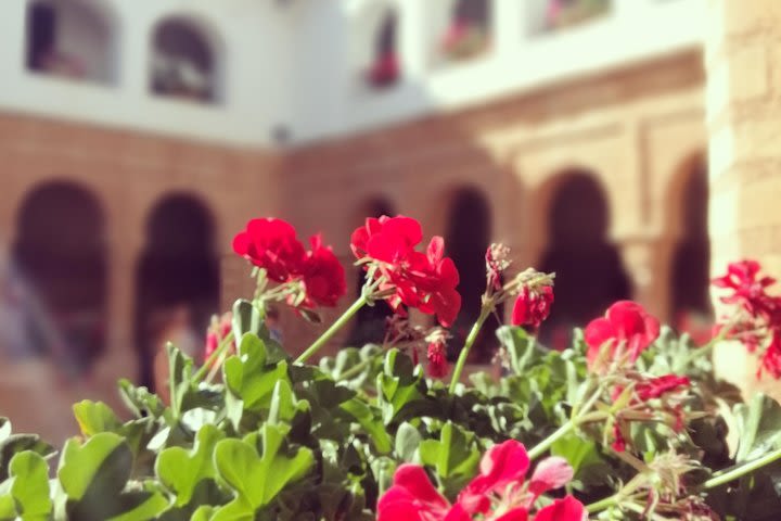 Columbian Places, behind the steps of Christopher Columbus image