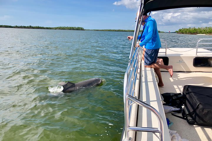 Ten Thousand Islands Boat Tour up to 12 people image