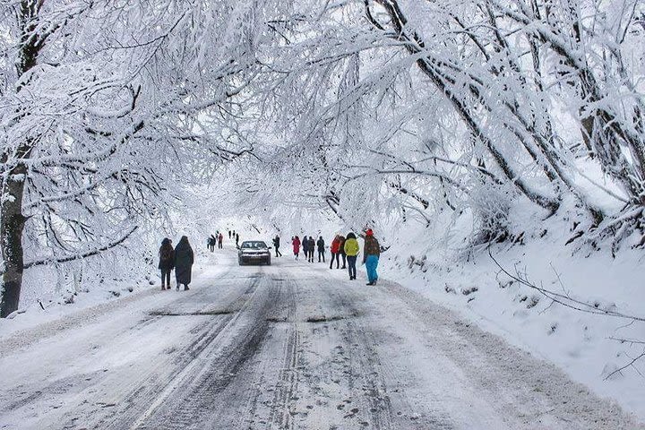 Full day private tour of the Sabadur Forest and Georgia’s memorable history image