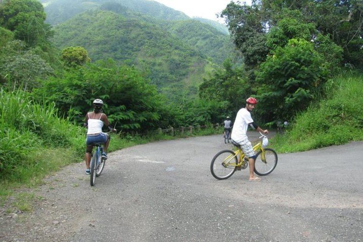 Blue Mountain Bicycle Tour from Kingston image