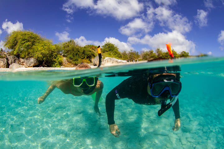 Snorkel Tour image