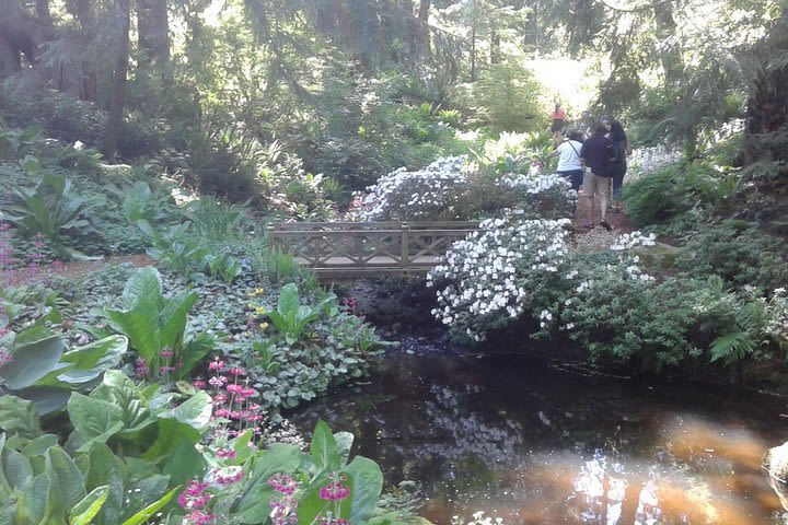 Bainbridge Island Nature Reserve Walk with Lunch image