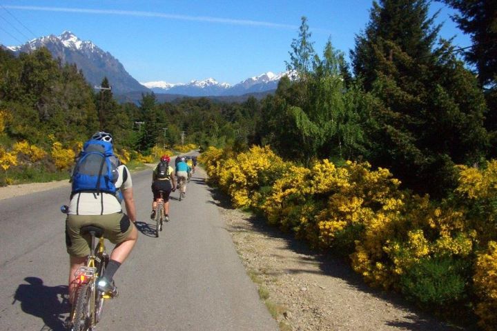 Lake Llanquihue Bike Tour image