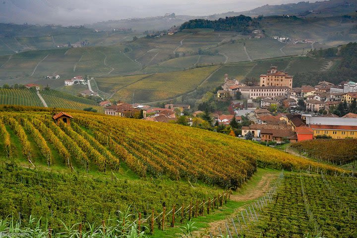 Trek Barolo image