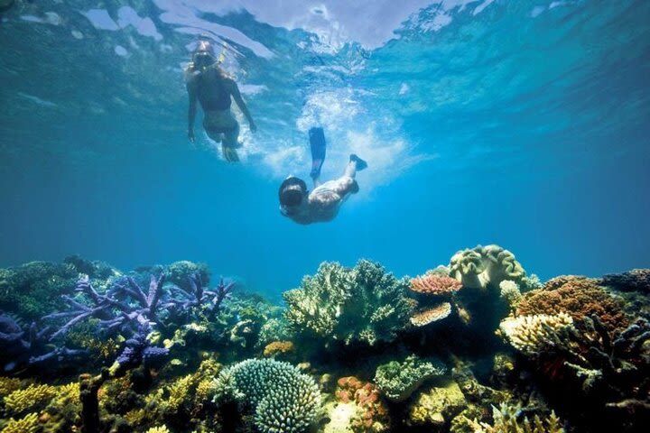 Snorkeling Adventure image