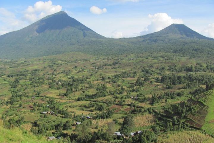 Day Vehicle Transfer from Kisoro to Mgahinga Gorilla National park  image