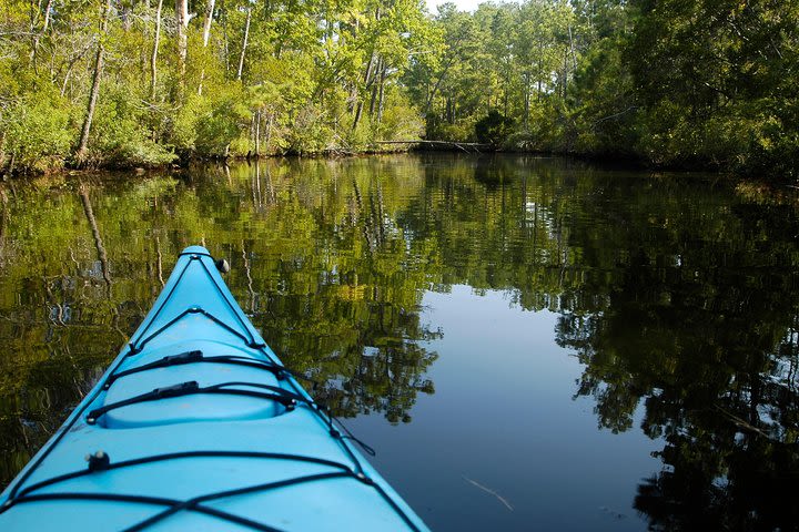 Kitty Hawk Maritime Forest Kayak Tour image