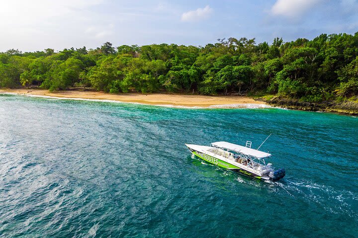 Ocho Rios All-Day Powerboat Adventure image