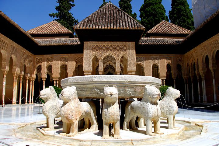 Alhambra Skip the Line Premium Guided Tour image