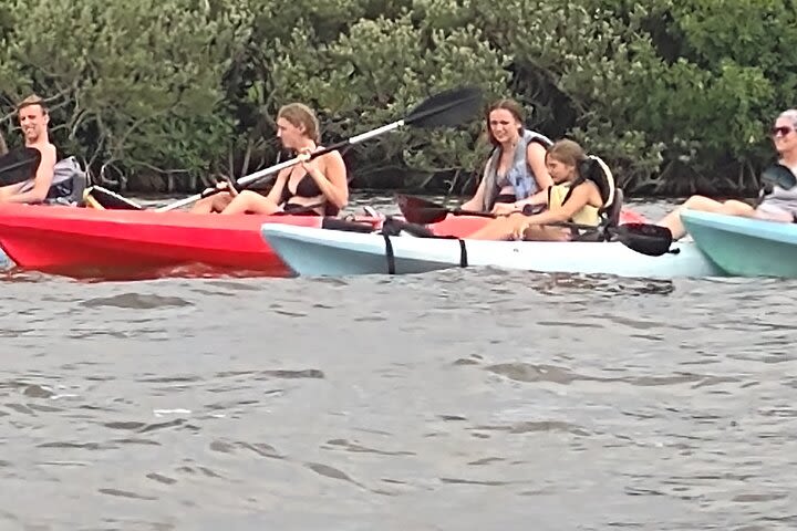 Manatee Cove 1-Hour Single Kayak Rental image