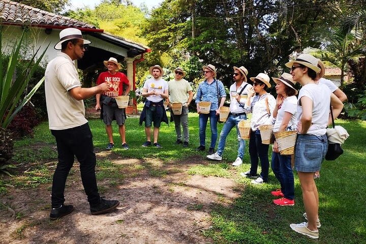 Hands-On Tour to Coffee Plantation from Bogota (2 Options or Only Transport) image