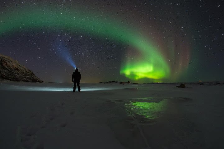 Small Group Northern Lights Chase from Tromso image