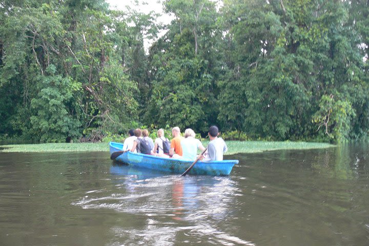 Canoe tour in Tortuguero National Park image