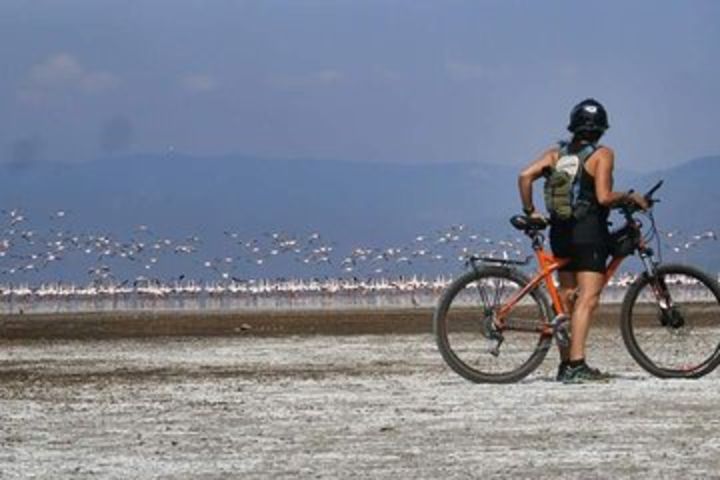 Cycling Lake Manyara image