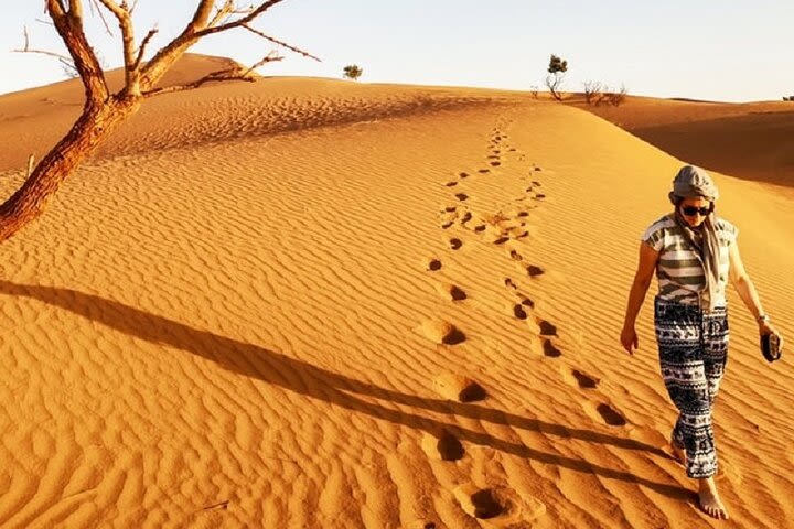 Morocco desert trek dromedary image