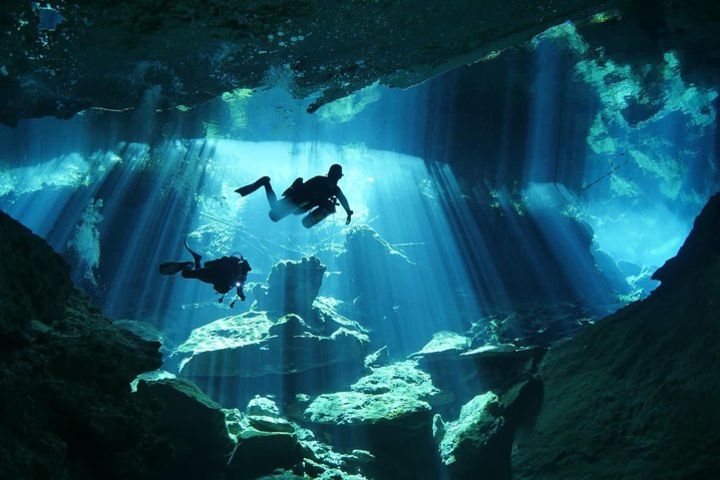 Cenotes diving  image