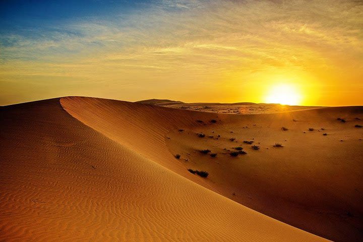 Sunrise Desert Safari from Abu Dhabi  image