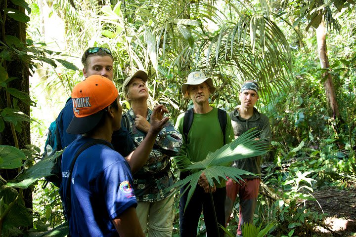 8-Day Private Round trip Andes and Amazon Rainforest image