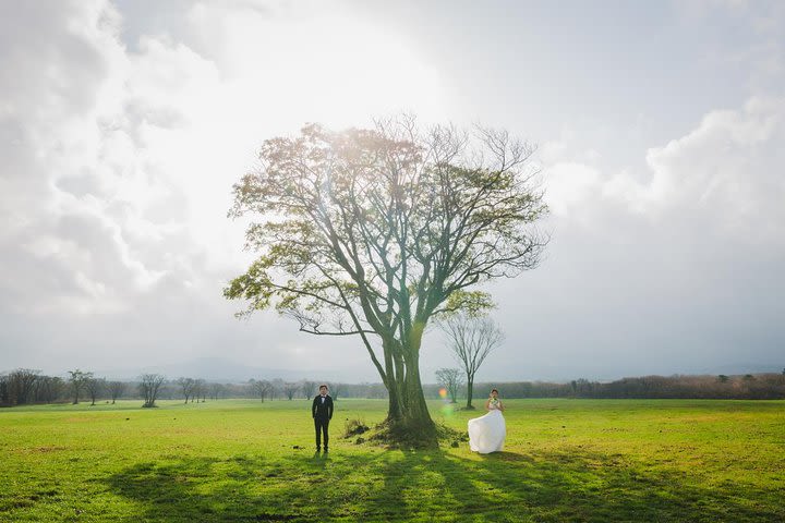 Jeju Outdoor Wedding Photography Package image